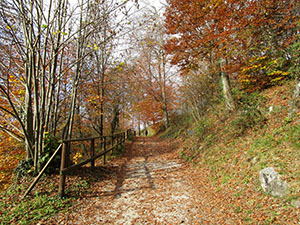 Autunno