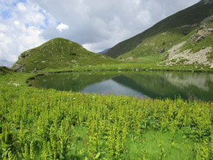 Lago delle Trote