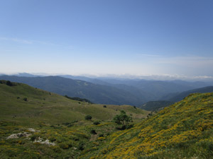 Usciti dal bosco, panorama a valle