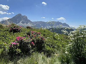 Veduta panoramica