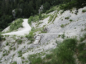 Il ger