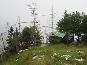 Roccolo