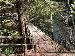 Il Ponte sul Torrente Riale di Mergoscia