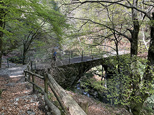 Altra veduta dello stesso ponte