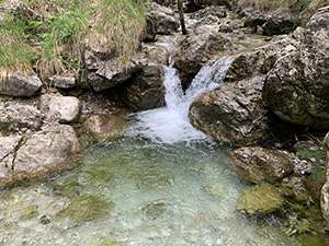 Altro scorcio del torrente