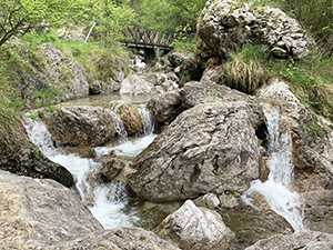 Altro scorcio del torrente