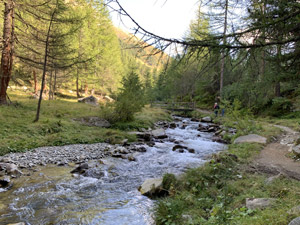 Ritorniamo con il sentiero 116A lungo la sponda opposta del torrente