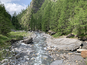 Il torrente visto dal ponte