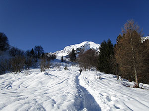 Lungo il sentiero innevato