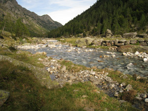 Il Torrente Boggia