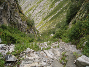Il canalino