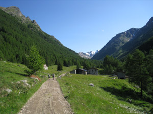 La bassa valle