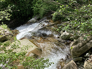 Il torrente visto dal ponticello