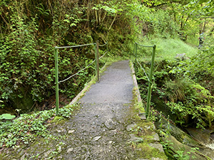 Ponticello