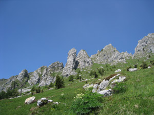 Cime di Bares