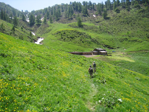 Arrivando al rifugio da Premana