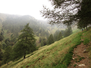 Sul sentiero poco prima dellˈAlpe Dolcigo