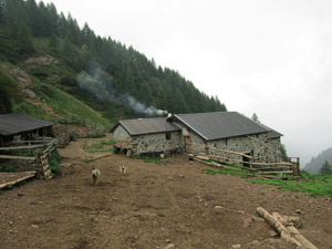 Alpe Dolcigo