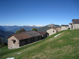 Alpe Oro