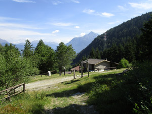 Malga Loa. Sullo sfondo il M. Aviolo