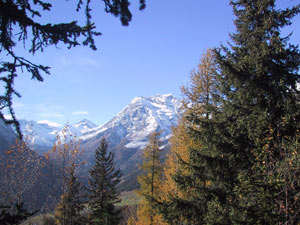 Panorama lungo il percorso dal Rifugio Barchi