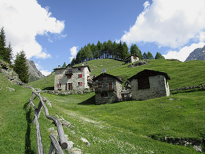 Ex rifugio Scerscen