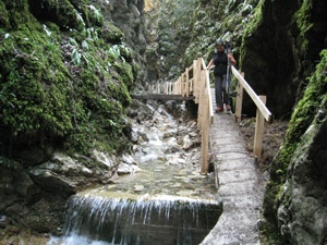 Passerella dopo la cascata