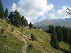 Lungo il sentiero
