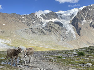 Panorama dal sentiero