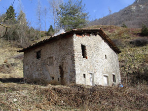Ruderi di una cascina nel bosco