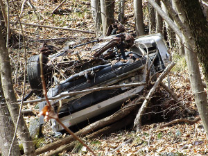 Nel bosco troviamo la carcassa di unˈauto capovolta