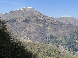 Parte del panorama (Cima Asnas) dal Bocchetto di Sessera