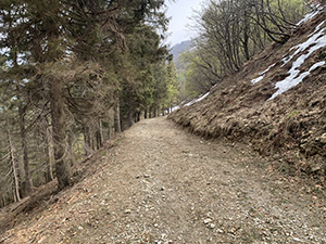 Seguiamo la sterrata in discesa