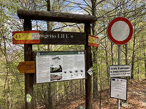 Al bivio con il cartellone che parla del carabo giriamo a sinistra
