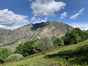 Usciti dal bosco vediamo le montagne