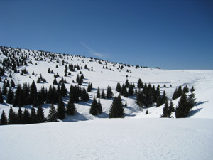 Panorama verso il Monte Alto