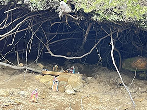 Presepio tra le radici di un albero