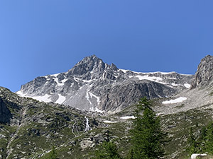 Chebodenhorn