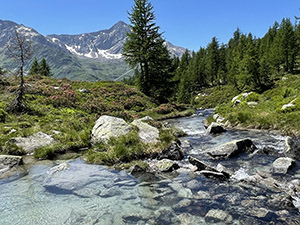 ... sul Torrente Ri dell'Acqua