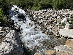 Il Torrente Ri dell'Acqua