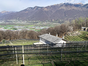 Agriturismo La Vigna