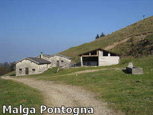 La Malga Pontogna