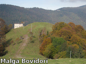 La Malga Bovidori
