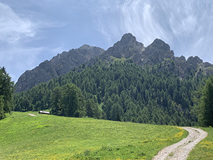 Sulla sterrata al ritorno