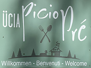 Insegna