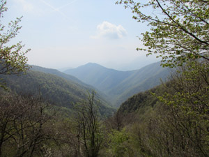 Panorama sulla Val del Sur