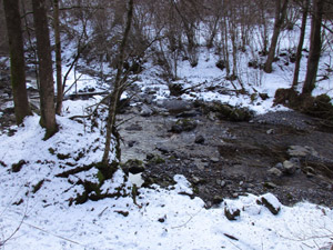 Seguendo il Torrente Asinina