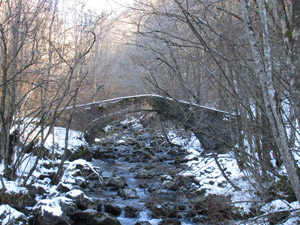 Il vecchio Ponte di Forcola