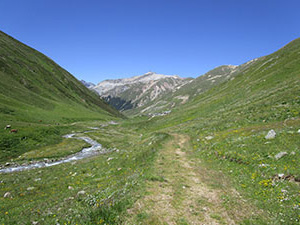 La stradina inerbita dopo lˈagriturismo