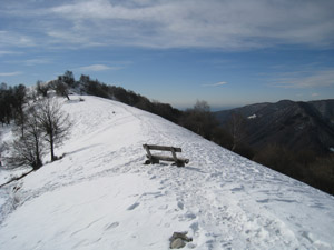 con la neve